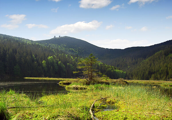 Arber Skigebiet Wellness Hotels Arber Skigebiet Wellness Hotels